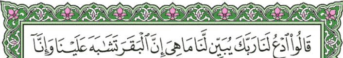 screenshot 132