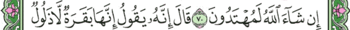 screenshot 133