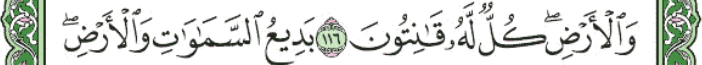 screenshot 246