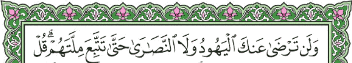 screenshot 251