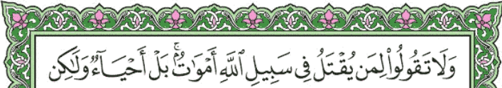 screenshot 328