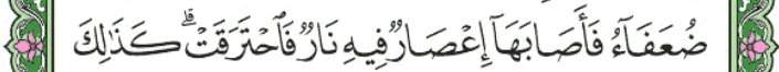 screenshot 650