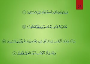 المدونة المصغرة