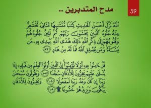 المدونة المصغرة