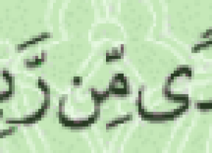 المدونة المصغرة