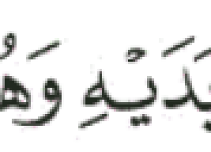 المدونة المصغرة