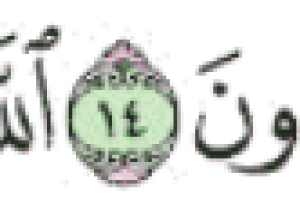 المدونة المصغرة